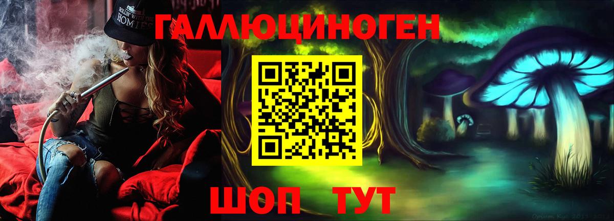 Псилоцибиновые грибы Psilocybe Сызрань