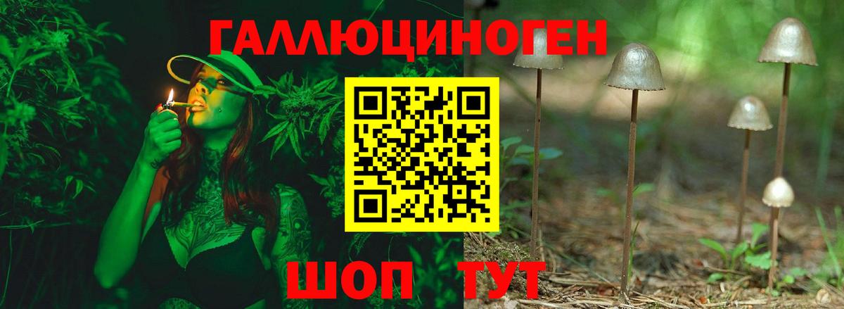 Псилоцибиновые грибы Psilocybe  Вход с VPN  Псилоцибиновые грибы Psilocybine cubensis  Сызрань 